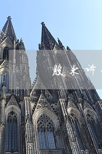 股东诉讼担保金