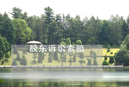 股东诉讼索赔 股东诉讼索赔