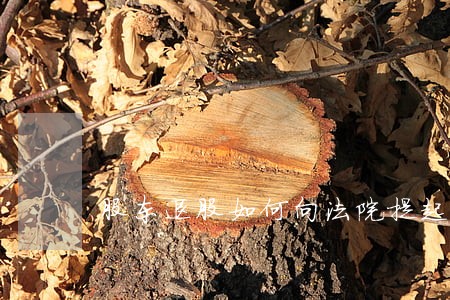 股东退股如何向法院提起清算 股东退股如何向法院提起清算