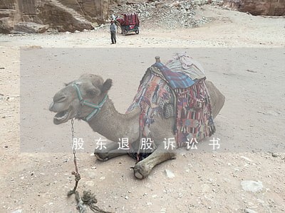 股东退股诉讼书 股东退股诉讼书