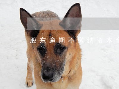 股东逾期不缴纳资本金怎么办 股东逾期不缴纳资本金怎么办