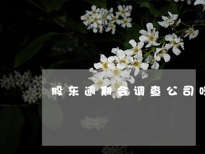 股东逾期会调查公司吗 股东逾期会调查公司吗