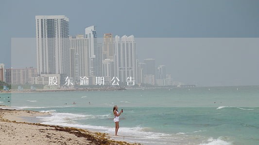 股东逾期公告 股东逾期公告