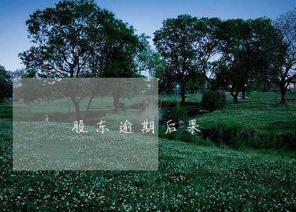 股东逾期后果 股东逾期后果