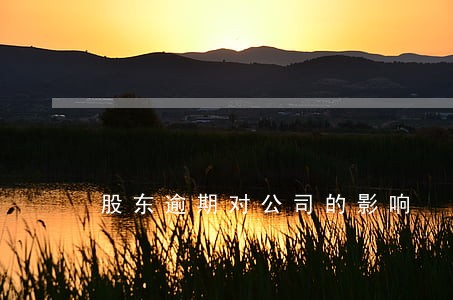 股东逾期对公司的影响 股东逾期对公司的影响