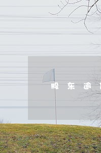 股东逾期影响公司 股东逾期影响公司
