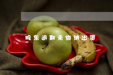 股东逾期未缴纳出资