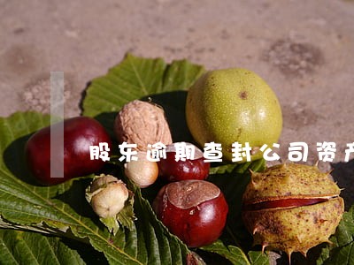 股东逾期查封公司资产 股东逾期查封公司资产