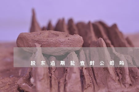 股东逾期能查封公司吗 股东逾期能查封公司吗
