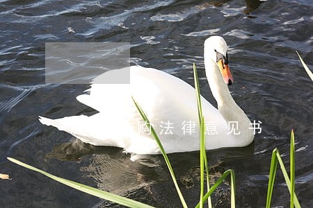 股份回购法律意见书 股份回购法律意见书