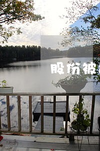 股份被司法拍卖怎么办 股份被司法拍卖怎么办