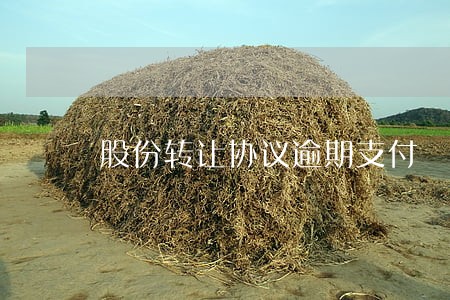 股份转让协议逾期支付 股份转让协议逾期支付