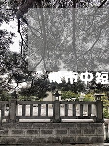 股市中短线炒作是不是违法的