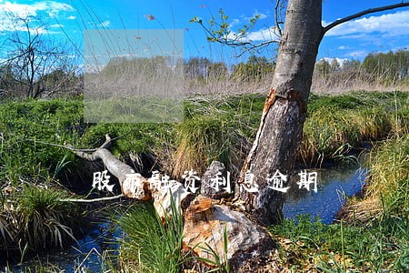 股市融资利息逾期 股市融资利息逾期