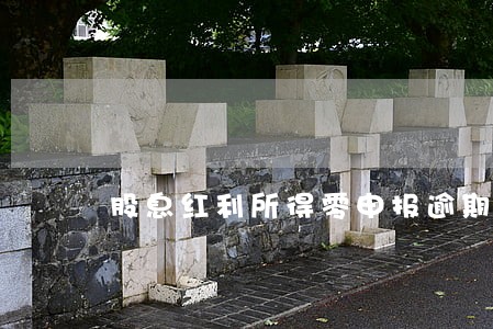 股息红利所得零申报逾期 股息红利所得零申报逾期