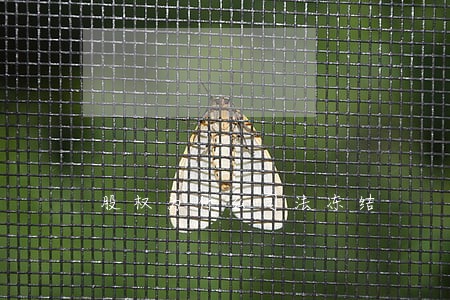 股权为什么司法冻结 股权为什么司法冻结