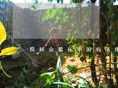股权众筹在中国有法律保护么 股权众筹在中国有法律保护么