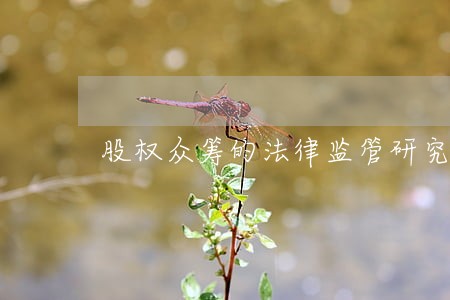 股权众筹的法律监管研究
