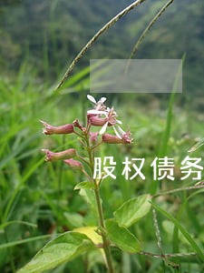 股权债务律师咨询费 股权债务律师咨询费