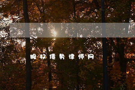 股权债务律师网 股权债务律师网