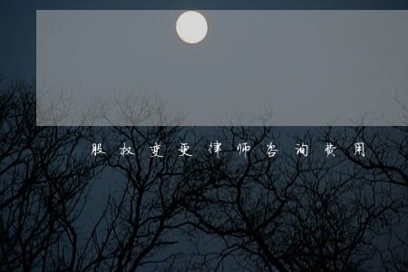 股权变更律师咨询费用 股权变更律师咨询费用