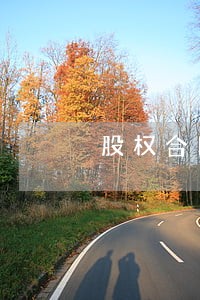 股权合同律师怎么收费 股权合同律师怎么收费