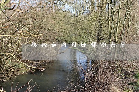 股权合同纠纷律师再审 股权合同纠纷律师再审
