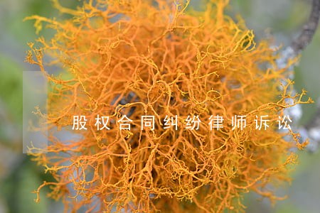 股权合同纠纷律师诉讼 股权合同纠纷律师诉讼
