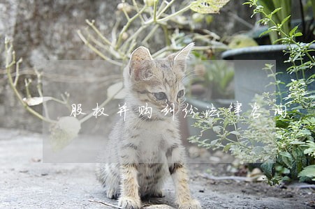 股权并购纠纷法律咨询 股权并购纠纷法律咨询