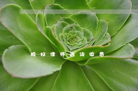 股权律师咨询收费 股权律师咨询收费