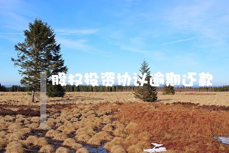 股权投资协议逾期还款 股权投资协议逾期还款