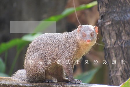 股权投资法律风险及风险防控 股权投资法律风险及风险防控