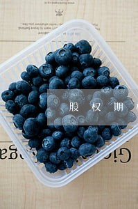 股权期权法律顾问法律咨询 股权期权法律顾问法律咨询