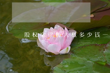 股权案律师大概多少钱一审 股权案律师大概多少钱一审