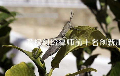 股权纠纷律师前十名创新服务 股权纠纷律师前十名创新服务