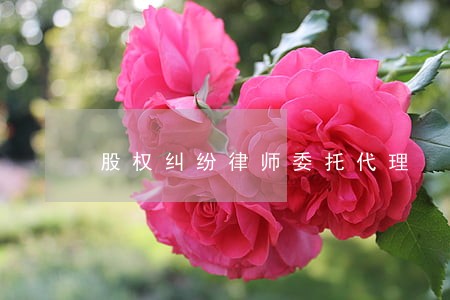 股权纠纷律师委托代理 股权纠纷律师委托代理