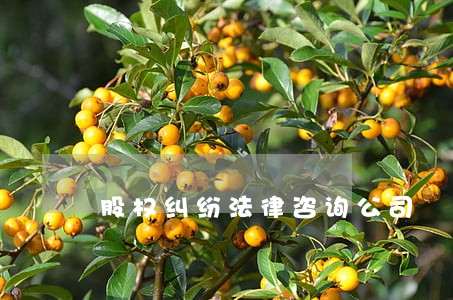 股权纠纷法律咨询公司 股权纠纷法律咨询公司