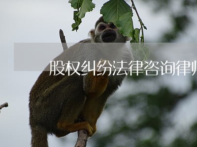 股权纠纷法律咨询律师 股权纠纷法律咨询律师