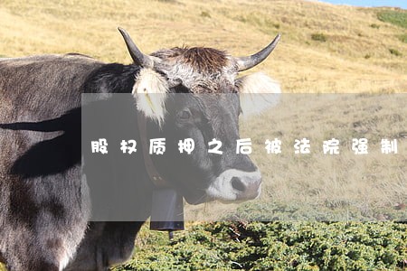 股权质押之后被法院强制执行 股权质押之后被法院强制执行