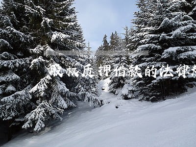 股权质押借款的法律规定 股权质押借款的法律规定