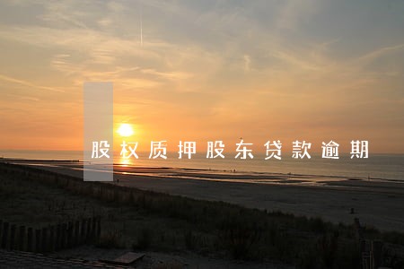 股权质押股东贷款逾期 股权质押股东贷款逾期