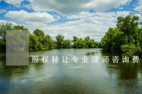 股权转让专业律师咨询费用 股权转让专业律师咨询费用