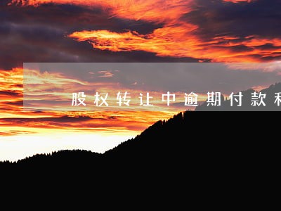 股权转让中逾期付款利息 股权转让中逾期付款利息