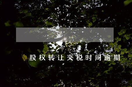 股权转让交税时间逾期 股权转让交税时间逾期