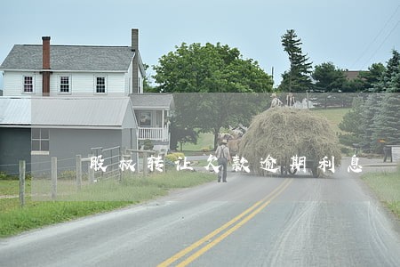 股权转让欠款逾期利息 股权转让欠款逾期利息
