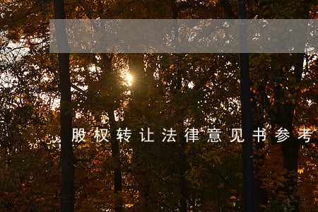 股权转让法律意见书参考 股权转让法律意见书参考