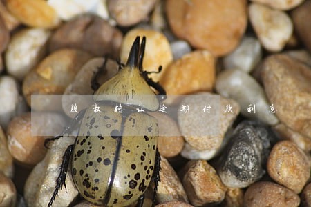 股权转让逾期付款利息 股权转让逾期付款利息