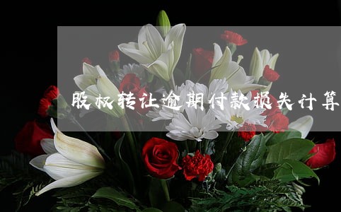 股权转让逾期付款损失计算 股权转让逾期付款损失计算