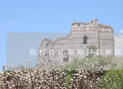 股权转让逾期付款解除合同返还 股权转让逾期付款解除合同返还