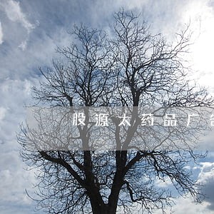 股源太药品广告违法